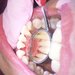 Dental Zoom - Medic dentist generalist